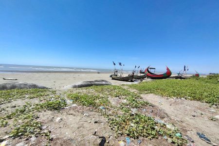 Cox’s Bazar can be saved through well-planned waste disposal