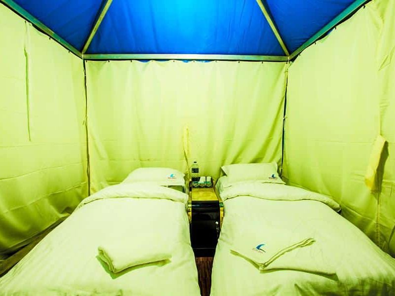 Premium Tent